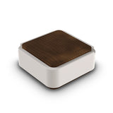 Vessel Ash Astray and Storage