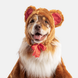 Teddy Bear Costume