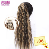 Hair Extension Heat Resistant Synthetic Natural Wave Pony Tail WTB 22" Long Wavy Wrap Around Clip In Ponytail - Presidential Brand (R)
