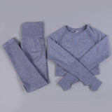 Women 2pcs Seamless Yoga Set Sport Suit Gymwear Workout Clothes Long Sleeve Gym Crop Top High Waist Leggings Fitness Sports Wear - Presidential Brand (R)