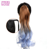 Hair Extension Heat Resistant Synthetic Natural Wave Pony Tail WTB 22" Long Wavy Wrap Around Clip In Ponytail - Presidential Brand (R)