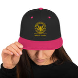 Presidential Entertainment Snapback Cap, Music Lover, Vintage Snapback