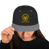 Presidential Entertainment Snapback Cap, Music Lover, Vintage Snapback