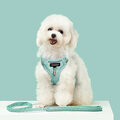 Harness Leash Sets Adjustable Lengths Reflective Design Breathable Mesh Dog Collar