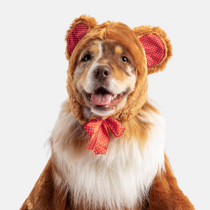 Teddy Bear Costume