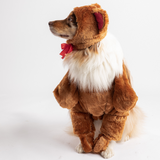 Teddy Bear Costume