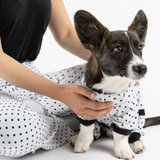 Matching Pajama Pants - Polka Dot