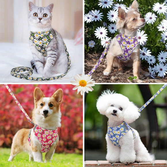 Dog Cat Harness and Leash Set Nylon Pet Vest Harness Dogs Walking Lead Rope Pretty Flower Print