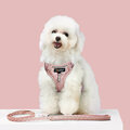 Harness Leash Sets Adjustable Lengths Reflective Design Breathable Mesh Dog Collar