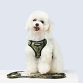 Harness Leash Sets Adjustable Lengths Reflective Design Breathable Mesh Dog Collar