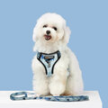 Harness Leash Sets Adjustable Lengths Reflective Design Breathable Mesh Dog Collar