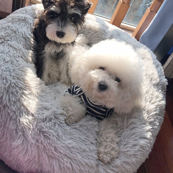 40-100cm Dog Bed Washable Pet Cat Bed Dog Round Breathable Lounger Sofa Cat Bed For Cat Dogs Super Soft Plush Pads Dogs Mat - Presidential Brand (R)