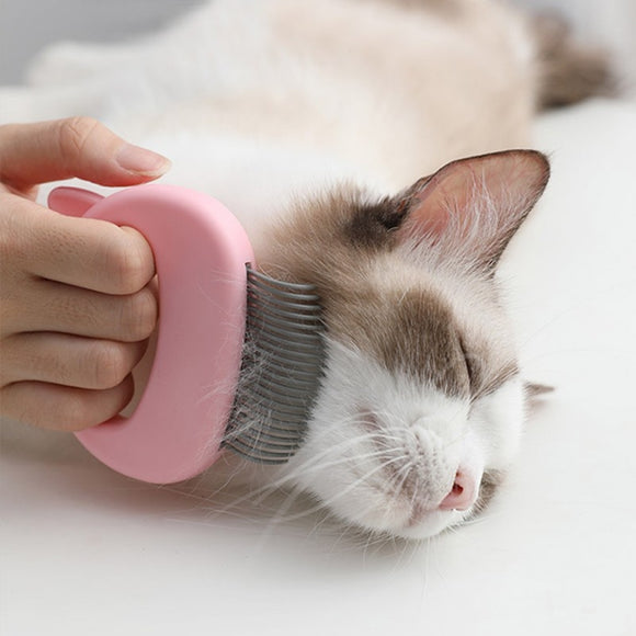 Pet Massage Brush Shell Shaped Handle Pet Grooming Massage Tool To Remove Loose Hairs Only For Cats New - Presidential Brand (R)