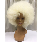 Afro Party Wigs - Presidential Brand (R)