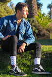 Stylish Trooper Patterned Socks from the Sock Panda - Presidential Brand (R)