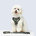 Harness Leash Sets Adjustable Lengths Reflective Design Breathable Mesh Dog Collar