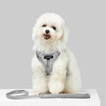 Harness Leash Sets Adjustable Lengths Reflective Design Breathable Mesh Dog Collar