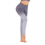 Leggings Seamless Yoga with Push Up Control - Presidential Brand (R)