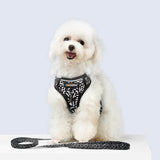 Harness Leash Sets Adjustable Lengths Reflective Design Breathable Mesh Dog Collar