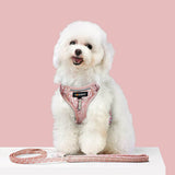 Harness Leash Sets Adjustable Lengths Reflective Design Breathable Mesh Dog Collar