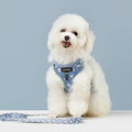 Harness Leash Sets Adjustable Lengths Reflective Design Breathable Mesh Dog Collar