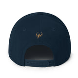 Presidential Clothing Co P On Back | Snapback Hat - Presidential Brand (R)