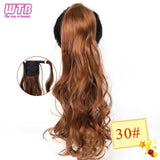 Hair Extension Heat Resistant Synthetic Natural Wave Pony Tail WTB 22" Long Wavy Wrap Around Clip In Ponytail - Presidential Brand (R)