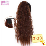 Hair Extension Heat Resistant Synthetic Natural Wave Pony Tail WTB 22" Long Wavy Wrap Around Clip In Ponytail - Presidential Brand (R)