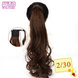 Hair Extension Heat Resistant Synthetic Natural Wave Pony Tail WTB 22" Long Wavy Wrap Around Clip In Ponytail - Presidential Brand (R)